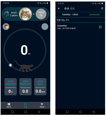 캣휠 (Cat Wheel)